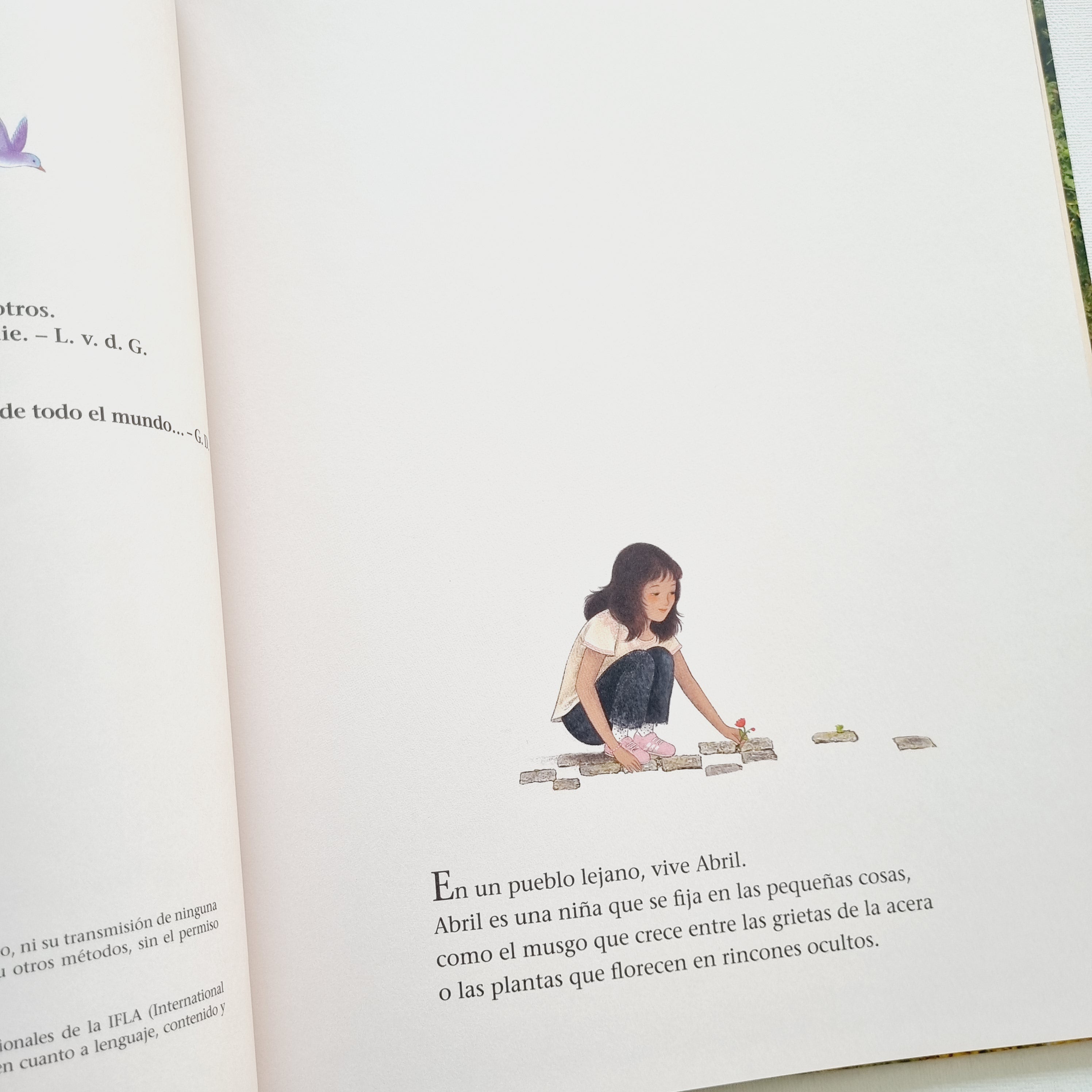 La puerta de las hadas La puerta de las hadas